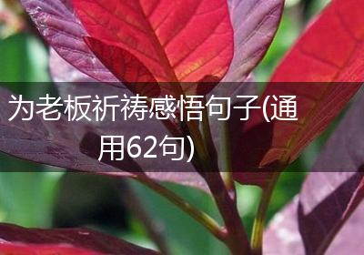 为老板祈祷感悟句子(通用62句)
