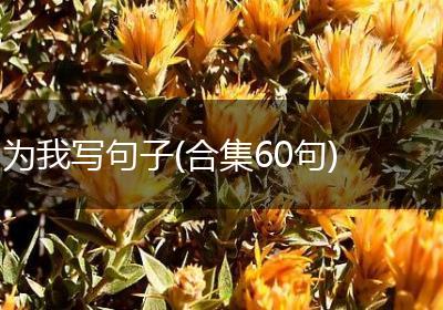 为我写句子(合集60句)