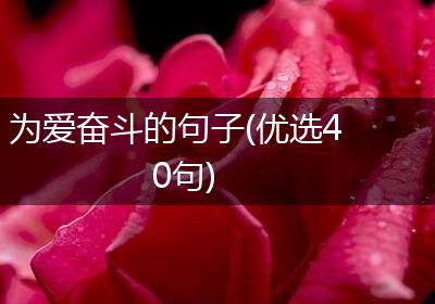 为爱奋斗的句子(优选40句)