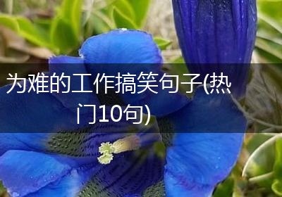 为难的工作搞笑句子(热门10句)