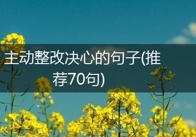 主动整改决心的句子(推荐70句)