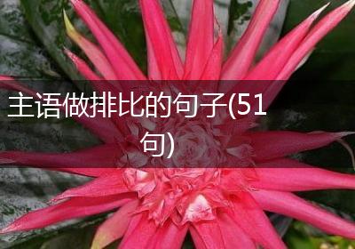 主语做排比的句子(51句)