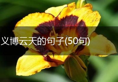 义博云天的句子(50句)