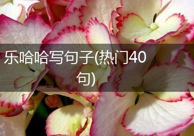 乐哈哈写句子(热门40句)