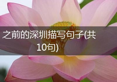 之前的深圳描写句子(共10句)