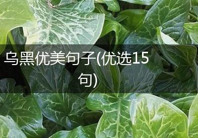 乌黑优美句子(优选15句)