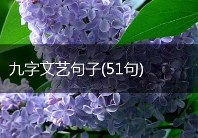 九字文艺句子(51句)
