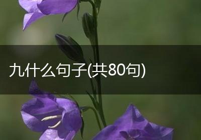 九什么句子(共80句)