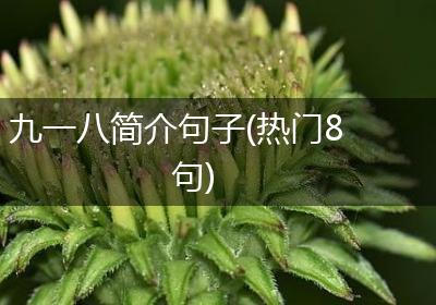 九一八简介句子(热门8句)