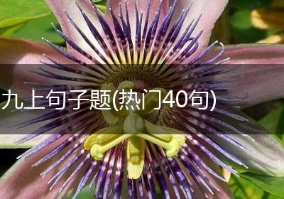九上句子题(热门40句)