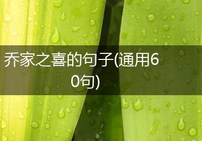 乔家之喜的句子(通用60句)