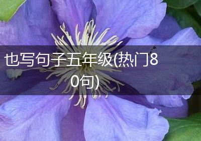 也写句子五年级(热门80句)
