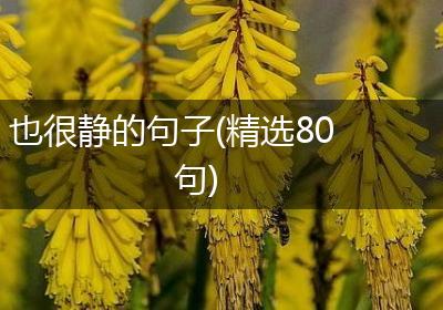 也很静的句子(精选80句)