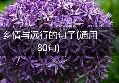 乡情与远行的句子(通用80句)