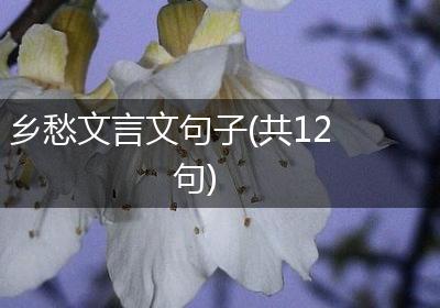 乡愁文言文句子(共12句)