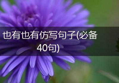 也有也有仿写句子(必备40句)