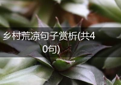 乡村荒凉句子赏析(共40句)