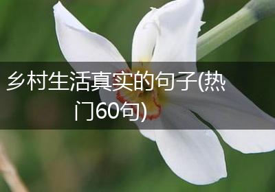 乡村生活真实的句子(热门60句)