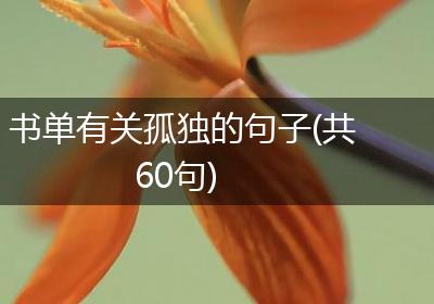 书单有关孤独的句子(共60句)