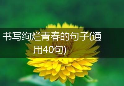 书写绚烂青春的句子(通用40句)