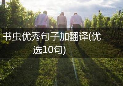 书虫优秀句子加翻译(优选10句)