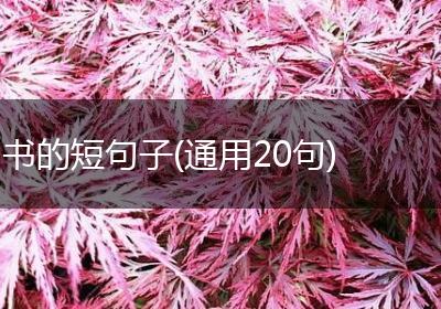 书的短句子(通用20句)