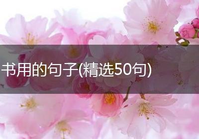 书用的句子(精选50句)