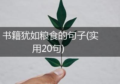 书籍犹如粮食的句子(实用20句)