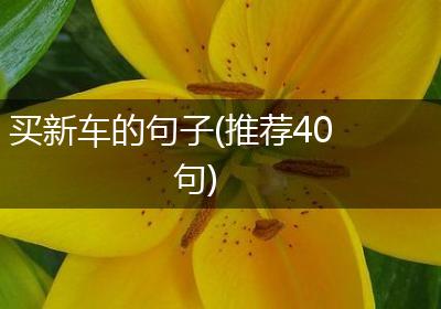 买新车的句子(推荐40句)