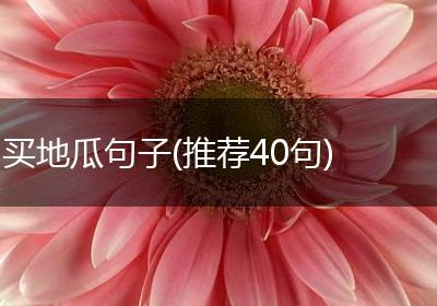 买地瓜句子(推荐40句)