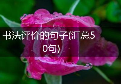 书法评价的句子(汇总50句)