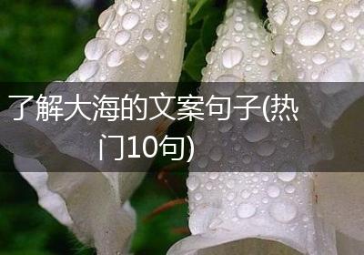 了解大海的文案句子(热门10句)