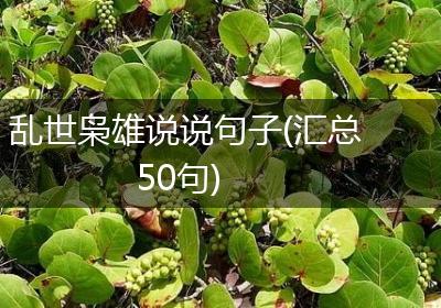 乱世枭雄说说句子(汇总50句)