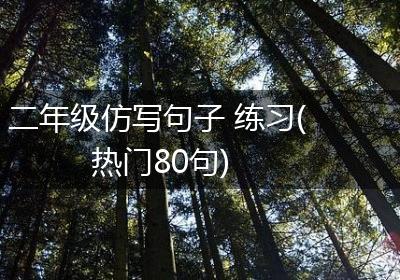 二年级仿写句子 练习(热门80句)