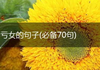 亏女的句子(必备70句)