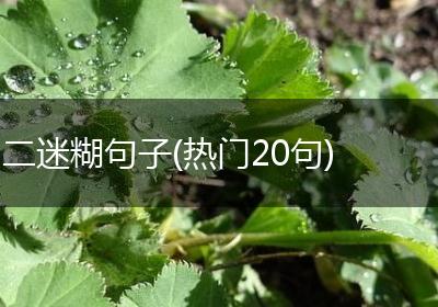 二迷糊句子(热门20句)