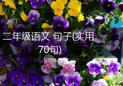二年级语文 句子(实用70句)