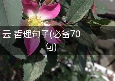 云 哲理句子(必备70句)