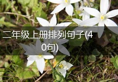 二年级上册排列句子(40句)