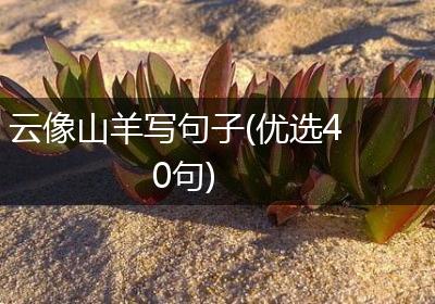 云像山羊写句子(优选40句)