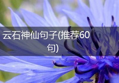 云石神仙句子(推荐60句)