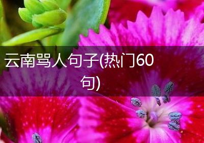 云南骂人句子(热门60句)