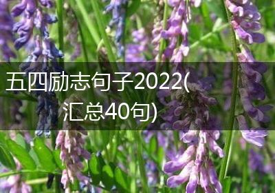五四励志句子2022(汇总40句)