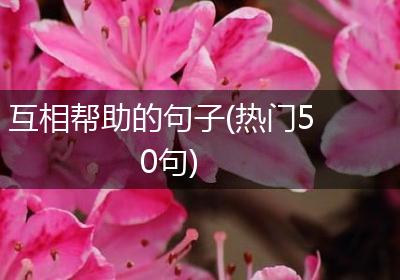 互相帮助的句子(热门50句)