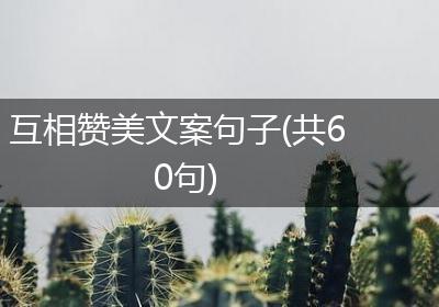 互相赞美文案句子(共60句)