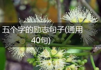 五个字的励志句子(通用40句)