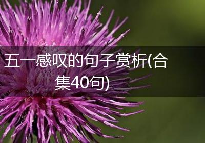 五一感叹的句子赏析(合集40句)