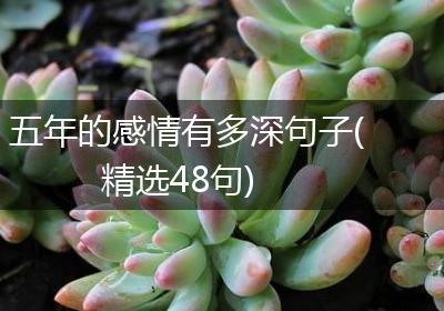 五年的感情有多深句子(精选48句)