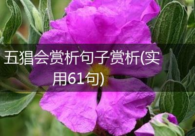 五猖会赏析句子赏析(实用61句)