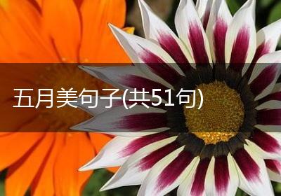 五月美句子(共51句)